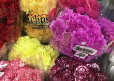 Carnations of Colombian farm Eclipse Flowers.