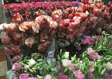 Dutch lisianthus of Flower Hill BVq