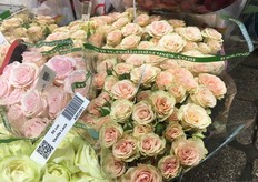 50 cm stem roses from Kenyan farm Red lands Roses.