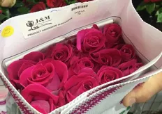 70 cm roses from Ecuadorian rose grower J & M.