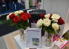 Last August, Vaselife introduced their Defend Spray Tunnel which improves the vase life of Roses. See the roses in this picture. Both are infected with a fungus, but the left roses have gone through the machine.