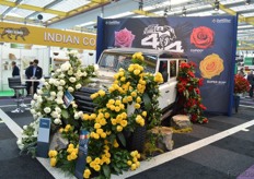 The Cuatro x Cuatro roses of De Ruiter.