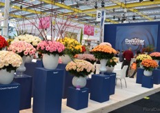 The large booth of De Ruiter.