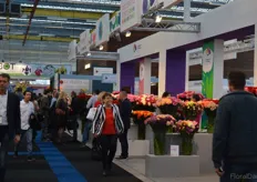 Colombian pavilion. This year, 12 Colombian farms are presenting their flowers/services.