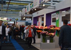 Colombian pavilion. This year, 12 Colombian farms are presenting their flowers/services.