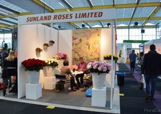 Sunland Roses.