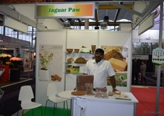 Jaguar Paw