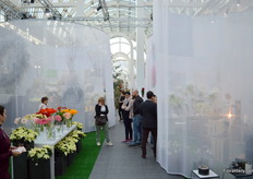 Galleria 1, the exhibition floor. The location is different compared to last year, but the lay out of the show and the boots is similar.