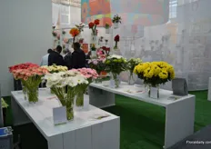 Like last year, similar flowers/plant species of different growers and breeders are displayed on one table. Then, the buyer can choose the product that he likes the most and he can go to the booth to gather more information.