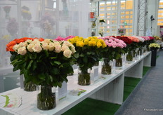 All different kind of roses on display.