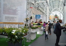 Exhibition floor.