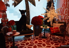 "The Ever Red roses of De Ruiter in 'The Loft"."