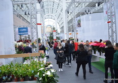 Exhibition floor of floradecora.