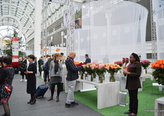 Visitors checking out the rose varieties on display.