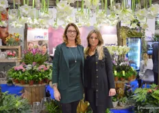 Patricia Sijtsma and Chantal van der Plas of Van der Plas. This Dutch grower is exporting to Italy for 15 years now and is exhibiting at the Myplant & Garden for the first time.