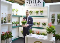 David Stolk of Stolk Brothers holding one of their new table anthuriums that is doing quite well on the Italian market. The plant consists of three anthurium plants that are cultivated in this bowl.