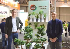 Brothers Frans and Kees Bakker of Mondo verde presenting their green trees, THey are exhibitnig at the show for the first time.