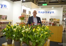 Henk Groenendijk of Kapiteyn supplies callas to growers and bulbs to garden centers and wholesalers. According to Groenendijk, the demand for callas, and the potted callas in particular, is high in Italy.