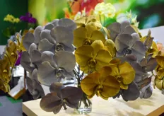 Also a high-end niche customer base loves their spray-panted gold & silver cut orchids.