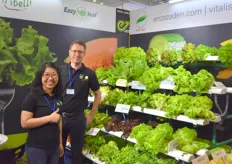 Hydroponic lettuce is on the rise, sees also Ruud Berkvens of Enza Zaden