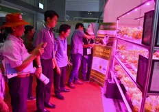 The attention for hydroponic cultivation was high amongst visitors. This was also shown by the continuous crowd watching the Smart Green grow system.