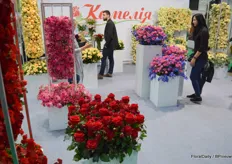 Camelia is among the very largest growers in Ukraine