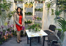 Luxory Flowers imports orchids from Taiwan to Ukraine. On the photeo Regina Arutyunya