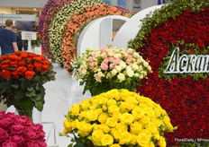 Once more the hearts and roses of Askania Flora