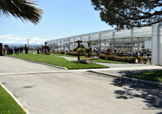 At Sakata in Salinas.