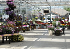 The Sakata location.