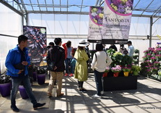 Visitors looking at the Lineria Fantasia series of Takii.