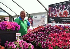 Marco Laan of Hem Genetics and the Limbo Picotee series. New in the series are Violet and Blue and for the coming year, they will only be available to the US growers in a mix. Next year, the varieties will be introduced individually.