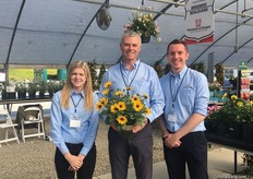 Georgie Moody, Paul Masters and Perry Sheeran presenting Sunbelievable, a vegetative sunflower. In the UK, they had it flowering from June to Mid-November and it produced around 1,000 flowers, explains Masters.