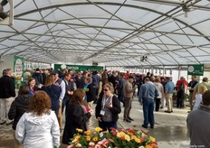 A 130 person Ball group visiting the Headstart Nursery location.