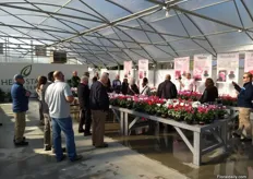 Bart Kuyer of Varinova presenting it's cyclamen varieties to a group of visitors.
