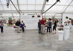 The new varieties wall at Syngenta.