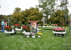 At the Syngenta Location, Monrovia also presented their varieties.