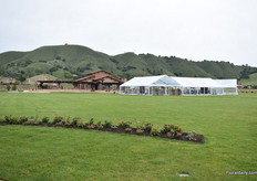 The Proven Winners' location at Kirigin Cellars Winery in Watsonville. It is the third year that they are showcasing their products at this location.