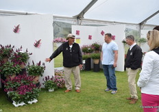 Gaydos showing visitors their new Rockin Fuchsia Salvia. Unique about this new salvia is the color. “We never have seen a pink variety.” On top of that, it has shorter internodes and darker foliage.