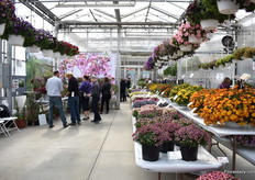 Inside a greenhouse at Suncrest.