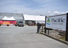 At Pacific Plug & Liner, Bailey Nurseries, Quality Cuttings Team, Encore, Southern Living Plant Collection and Sunset Western Garden were presenting their products.