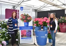 Any LeBard and Natalia Hamill of Bailey Nurseries presenting their new hydrangea Summer Crush. It is the newest and fifth introduction in the Endless Summer collection. This hydrangea has raspberry red mopheads and is more compact (w:18xh:36).