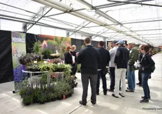 Azbill of showing the varieties of Quality Cuttings to a group of visitors.
