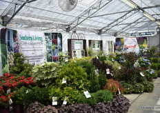Encore Azalea, Southern Living Plant Collection and Sunset Western Garden Collection al; presented at Pacific Plug & Liner.