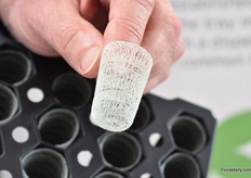 The Growcoon of Klassmann-Deilmann.