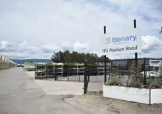 We ended our tour at Benary+ in Watsonville. This year is a special year for Benary as their company is celebrating its 175 anniversary.