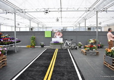 "The end of the highway; "Bedding Plants 2019"