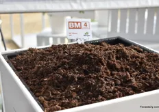 A wood mix of Berger, called BM4, that has fiber in it instead of perlite. It is not a new introduction, but the interest for the product starts to pick up.