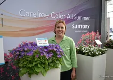 Delilah Onofrey of Suntory with the Senetti Magic Salmon. This variety was already available in Europe, but now is in the US as well. It is a bi-colored (Violet to salmon-pink) senetti that is blooming 10 days earlier.