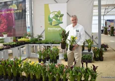 Peter Kok of Heritage Greenhouse Products. According to Kok, they have created a good programme for Callas for different potsizes.